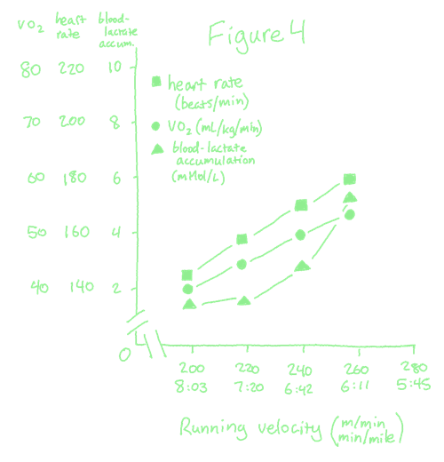 a chart demonstrating the linear trends of heart rate and vo 2 max as running pace increases, as well as the exponential nature of blood-lactate accumulation